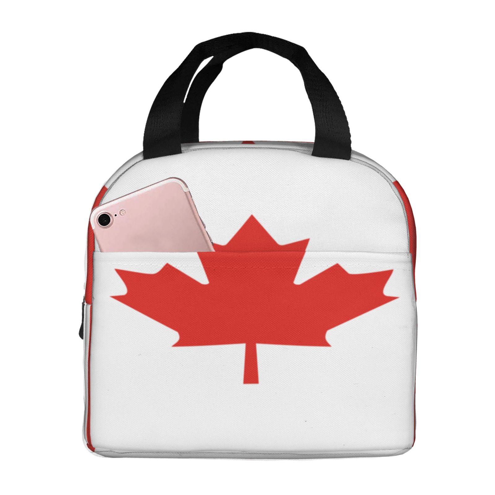 Borsa per il pranzo modello ba - Women Bags Canada recensione e prezzo